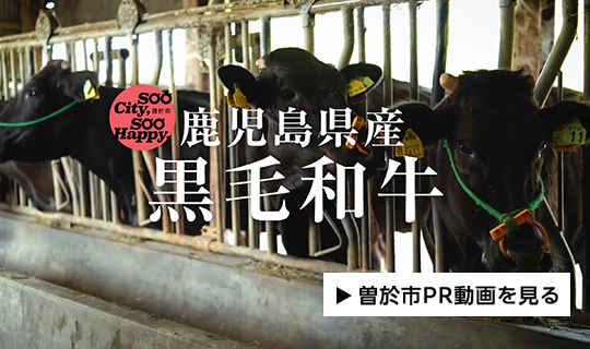 日本が誇る和牛を育む街。曽於市の「本物」に触れる