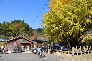 大隅大川原駅のイチョウ写真