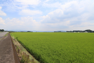 笠木原の水田