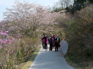 遊歩道写真