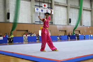 かごしま国体公開競技「武術太極拳」