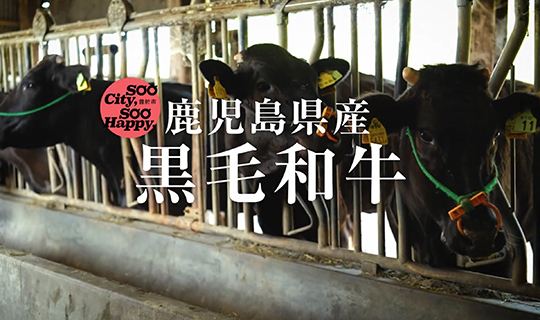 日本が誇る和牛を育む街。曽於市の「本物」に触れる