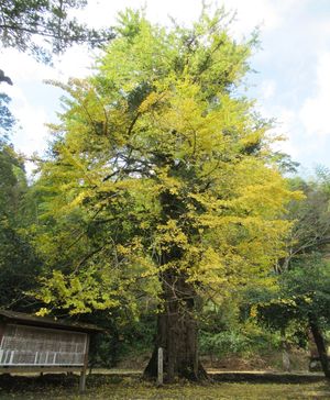 投谷八幡宮の王子面