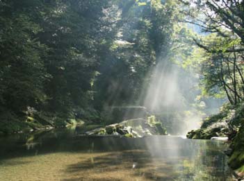 花房いこいの森風景