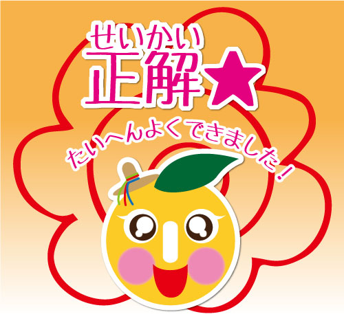 不正解