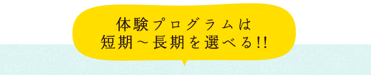 体験プログラムは短期~長期を選べる